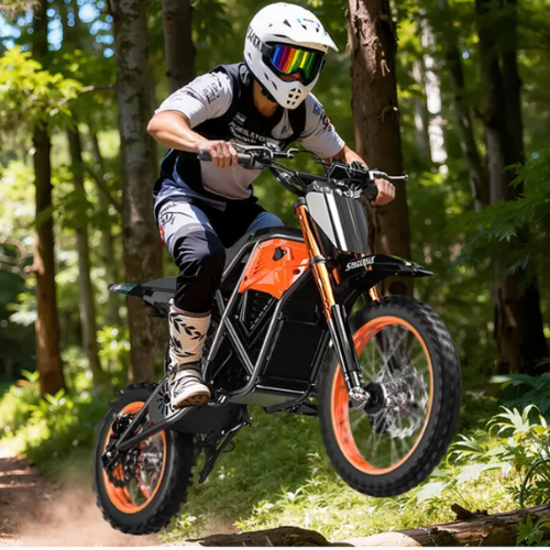 EvoBikeX